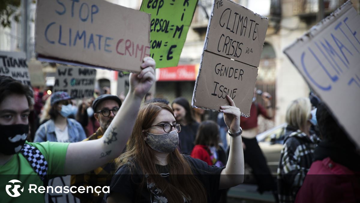 Supremo dá razão a ambientalistas sobre incumprimento da Lei de Bases do Clima