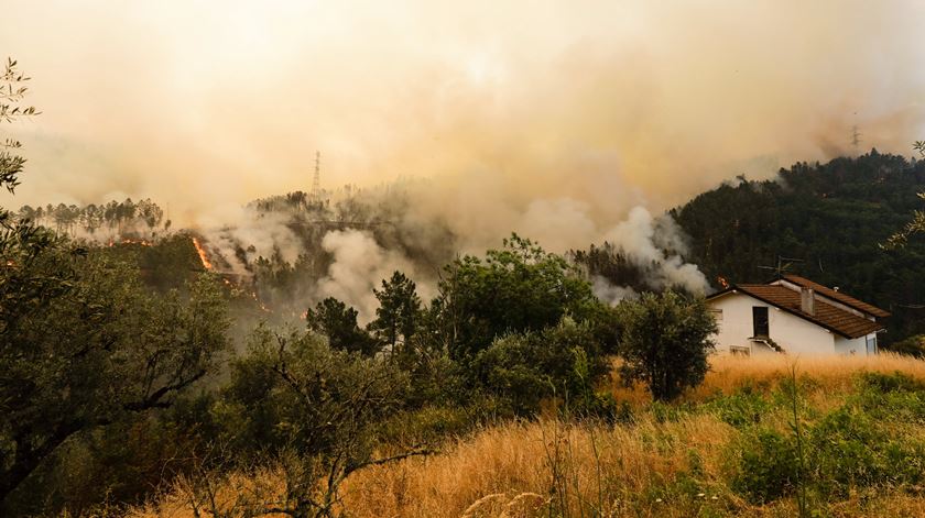 A aldeia de Sandinha, Góis, devastada pelo incêndio. Foto: Paulo Novais/EPA