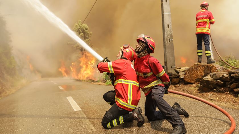 Incêndios continuam, em parte devido às temperaturas altas registadas em Outubro. Foto: Paulo Novais/Lusa