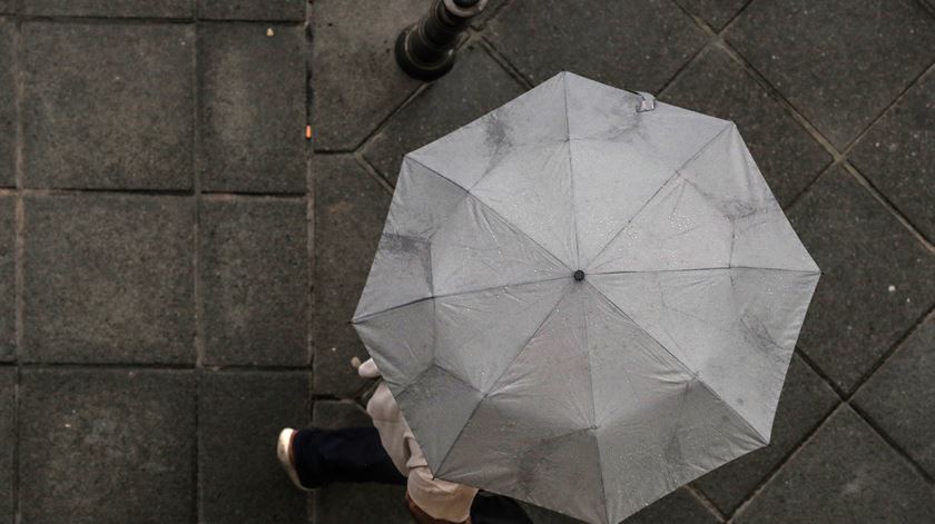 Foto: Armando Babani/ EPA