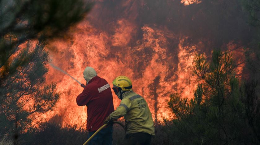 Incêndio nos arredores de Mação. Foto: Paulo Cunha/EPA