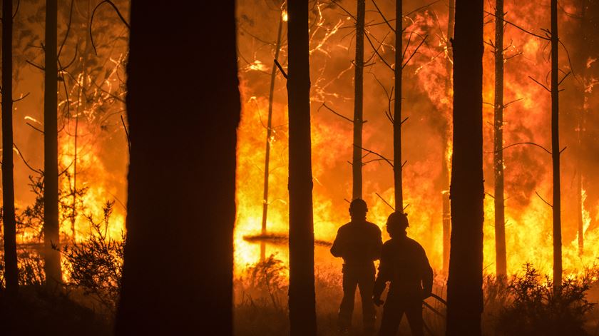 Bombeiros combatem chamas em São João da Pesqueira. Foto: Ricardo Graça/EPA
