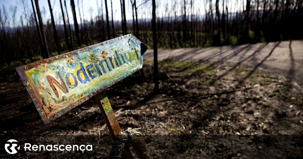 Sete anos depois do incêndio muito falta fazer em Pedrógão