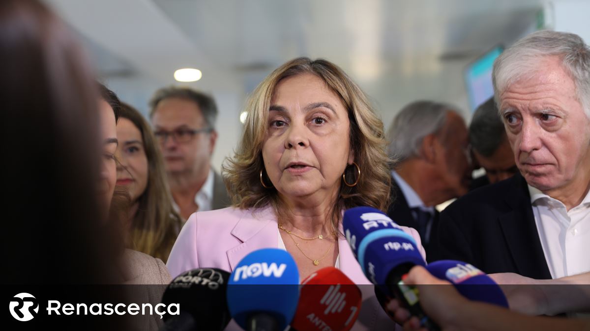 Ministra da Saúde defende "reorganização da obstetrícia"