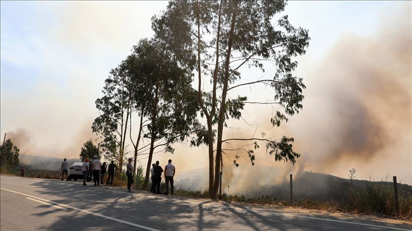 Sever do Vouga. Na terra onde ninguém dorme, só se fala de fogo posto