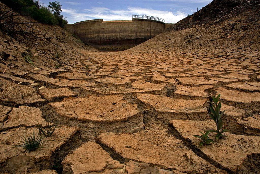 Campanha de cereais outono/inverno é a pior de sempre devido à seca. Foto: Reuters
