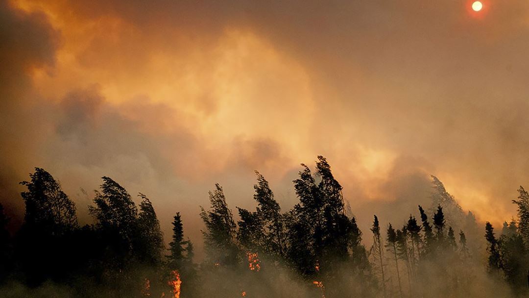 Incêndio no estado norte-americano do Alasca, a 14 de julho. Foto: Reuters
