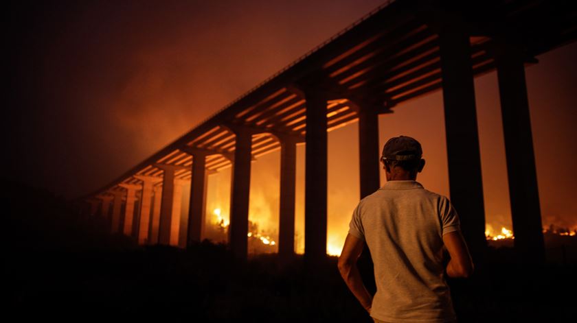 Incêndio de Abrantes está "estabilizado". Foto: Paulo Cunha/Lusa