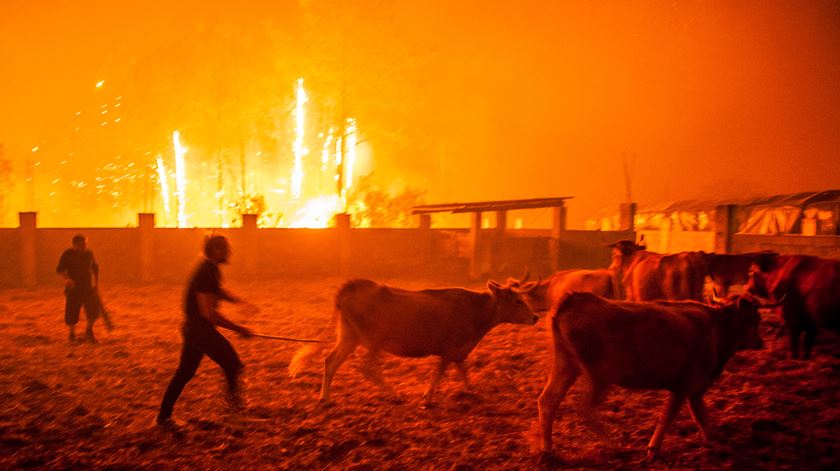 O relatório frisa que Espanha e Portugal “são e serão países de incêndios extremos que muito provavelmente viverão cenários muito perigosos de intensidade semelhante”.