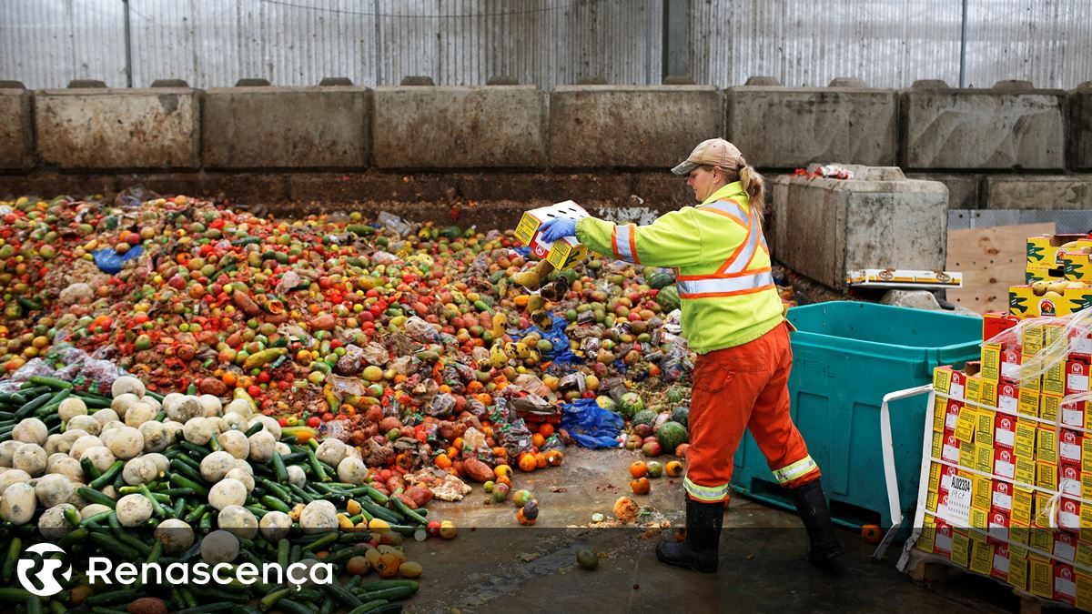 Distribuidoras pedem intervenção do Estado para combater o desperdício alimentar