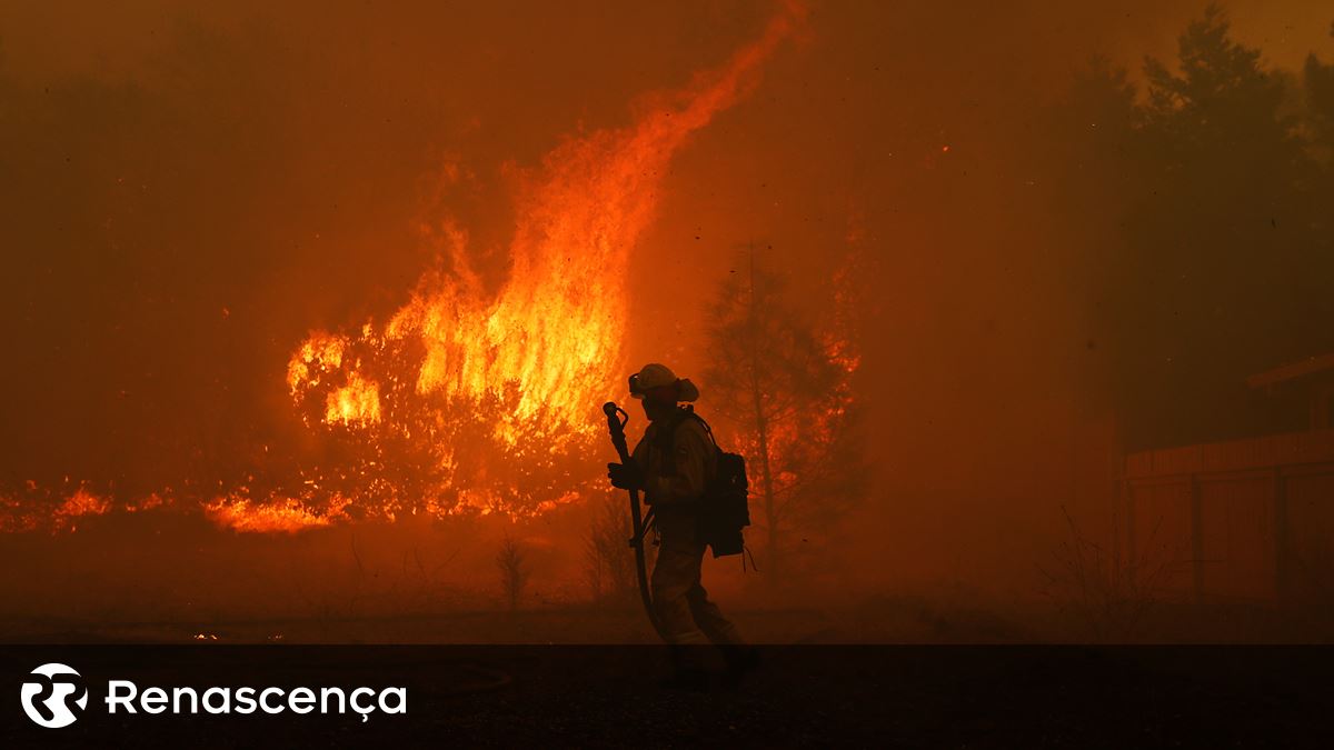 Ativado o meio aéreo no incêndio na madeira. Não há casas em perigo