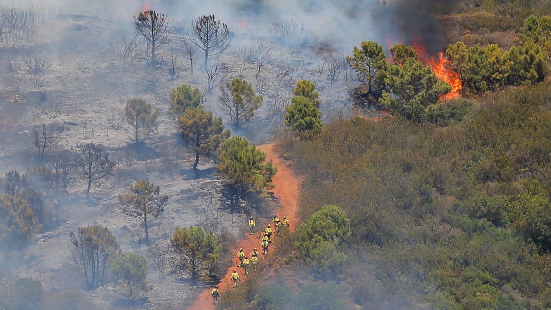 Cerca de duas mil pessoas foram retiradas de casa em Estepona, um município na provícia de Málaga, em Espanha, devido a um incêndio que deflagrou numa zona florestal. Foto: Jon Nazca/ Reuters