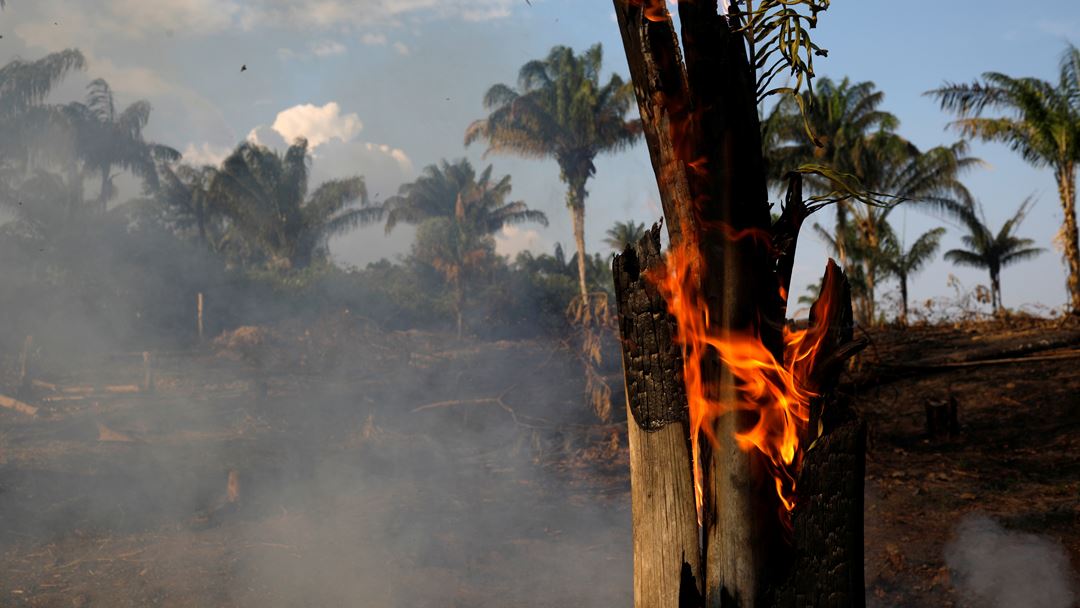 Floresta Amazónica já perdeu mais de 72 mil hectares Foto: REUTERS/ Bruno Kelly