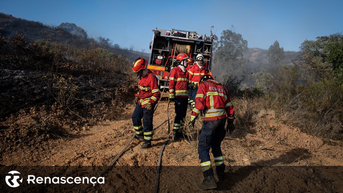 Parque Natural de Montesinho. Seis meios aéreos e quase 290 bombeiros combatem chamas