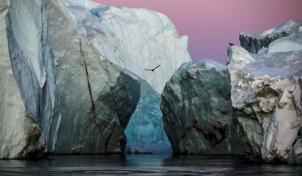 Icebergs no fiorde de Jakobshavn, na Gronelândia. Foto: Hannibal Hanschke/Reuters
