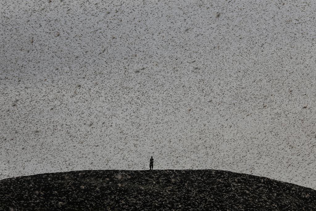 Tempestado de areia em Nanyuki, no Quénia, em janeiro deste ano. Foto: Baz Ratner/Reuters