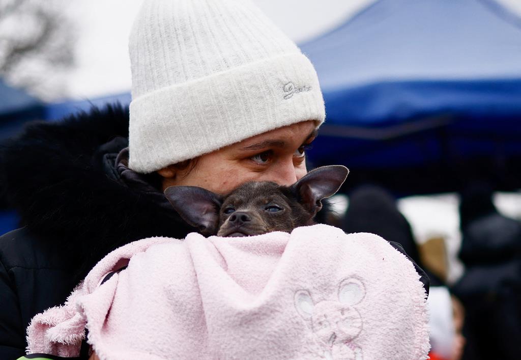 Uma mulher em fuga da invasão russa da Ucrânia segura um cão num acampamento temporário em Przemysl, Polónia. (28 de fevereiro de 2022). Foto: Yara Nardi/Reuters