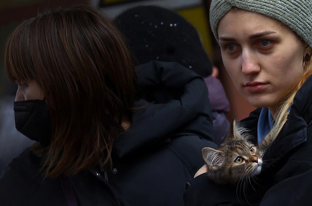 Um refugiado da Ucrânia com um gato na estação de Nyugati, em Budapeste, Hungria. (28 de fevereiro de 2022). Foto: Marton Monus/Reuters