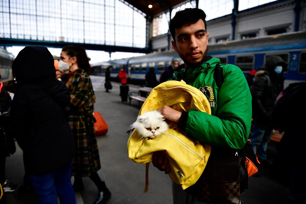 Um refugiado em fuga da Ucrânia com um gato na estação de Nyugati, Hungria. (28 de fevereiro de 2022). Foto: Marton Monus/Reuters