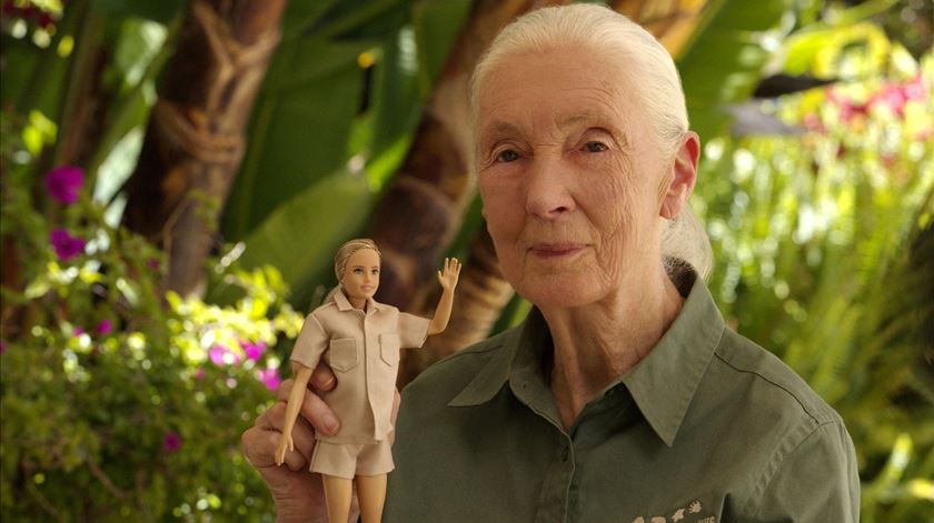Jane Goodall, com boneca da coleção mulheres inspiradoras. Foto: Reuters