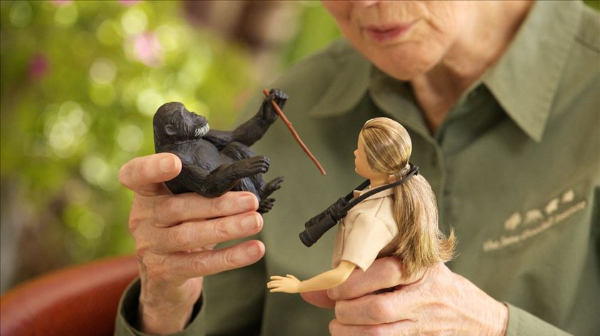 Jane Goodall, com boneca da coleção mulheres inspiradoras e um chimpanzé. Foto: Reuters