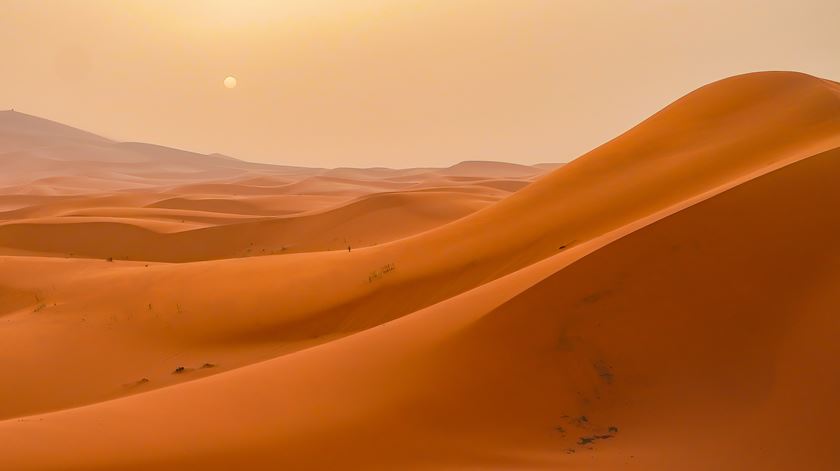 Raro dilúvio no Saara cria rios de água no deserto