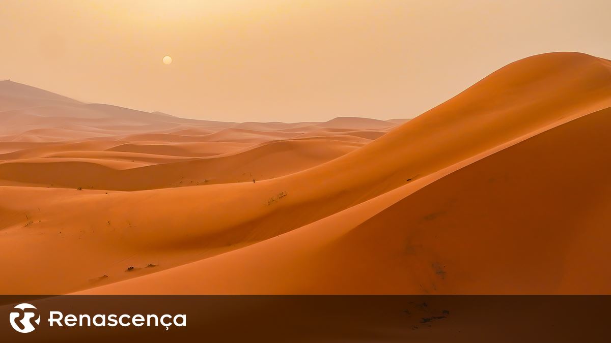 Raro dilúvio no Saara cria rios de água no deserto