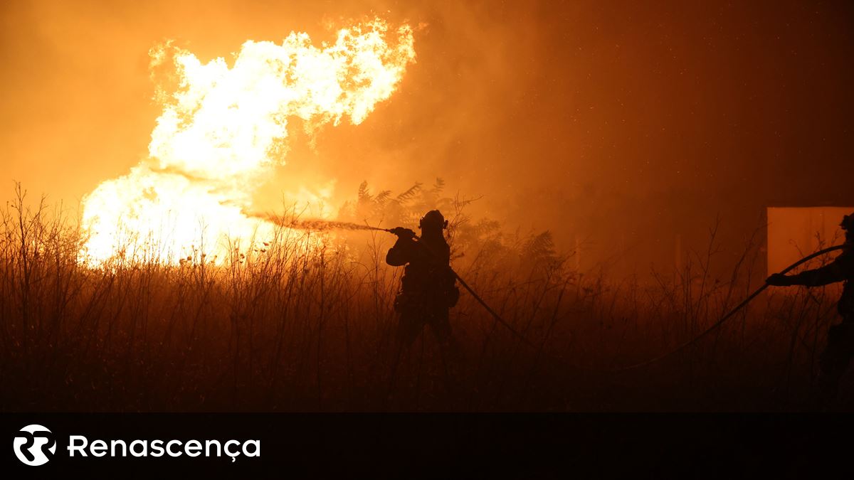 Mais de 80 operacionais combatem fogo em Vila Franca de Xira