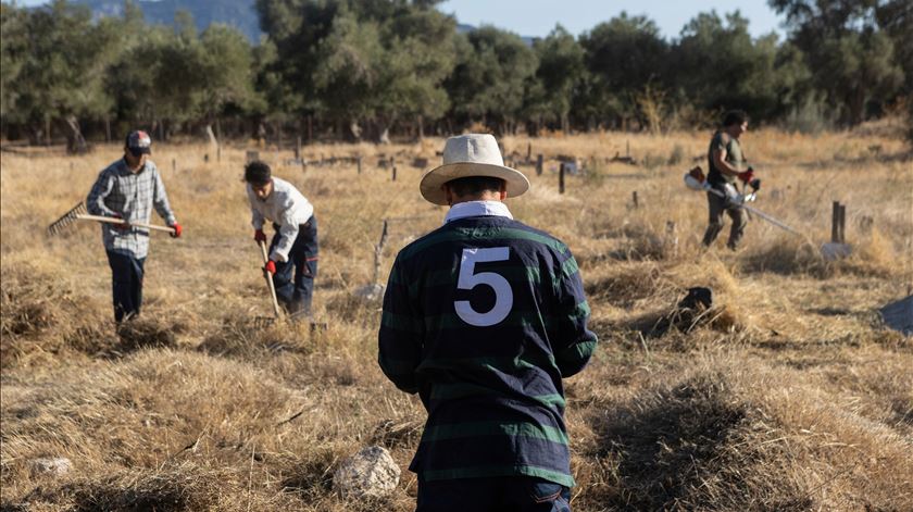 Voluntários a restaurar um cemitério para refugiados e migrantes na ilha de Lesbos, na Grécia, em outubro de 2023. Foto: Reuters/Elias Marcou
