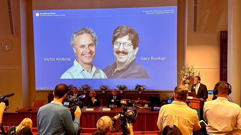 Victor Ambros e Gary Ruvkun vencem Prémio Nobel da Medicina