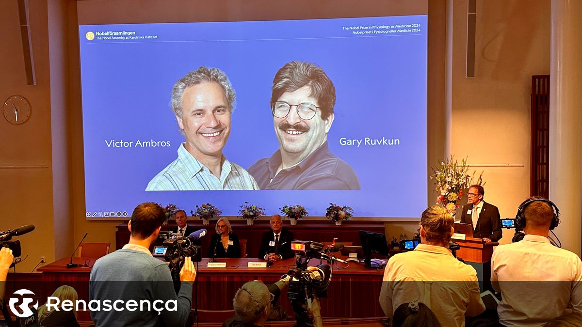 Victor Ambros e Gary Ruvkun vencem Prémio Nobel da Medicina