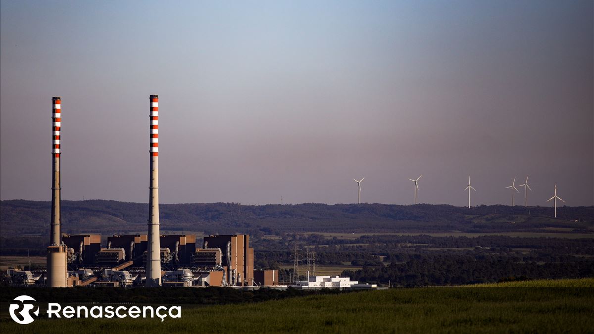 Fábrica de baterias em Sines poderá implicar abate de 703 sobreiros e azinheiras