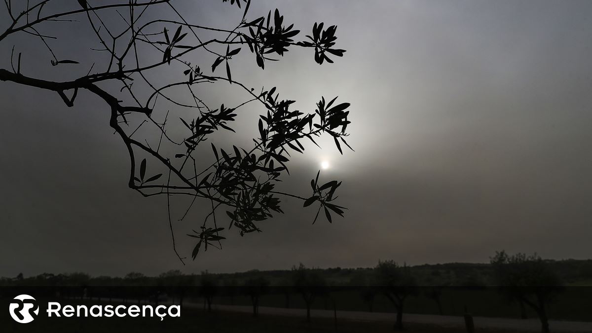 Poeiras, aguaceiros e trovoada esta quinta-feira