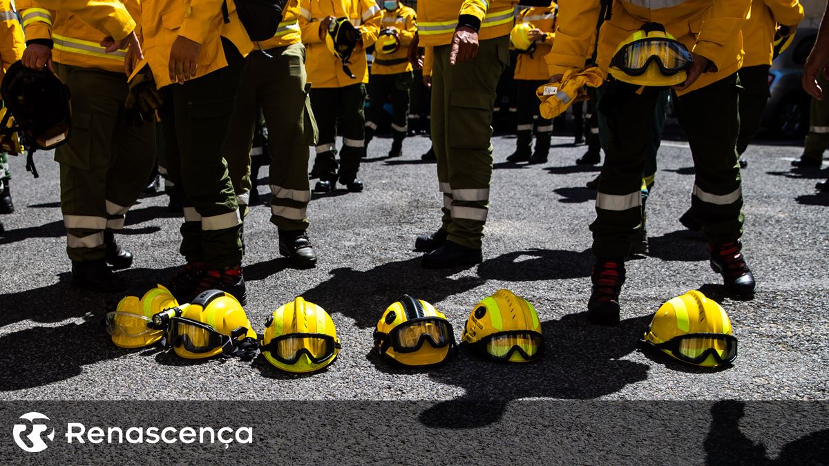 Governo aprova 1,5 milhões de euros para equipamentos de proteção de sapadores florestais