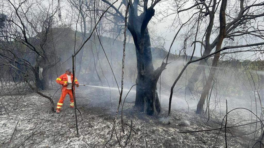 Bombeiro a extinguir chamas numa floresta, em Sardenha Foto: Manuele Scordo/EPA