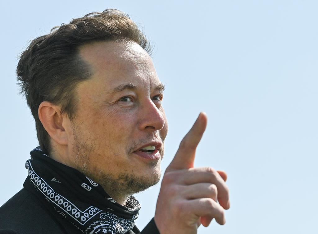 Elon Musk, CEO da Tesla Foto: Patrick Pleul / Pool/EPA