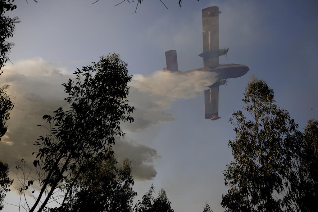 2021 foi dos melhores em termos de incêndios florestais dos últimos anos. Foto: Paulo Cunha/Lusa