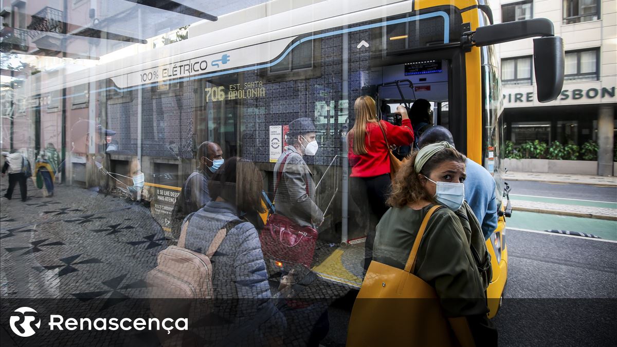 Contrato entre CM Lisboa e JCDecaux gera queixas sobre paragens de autocarro e painéis publicitários