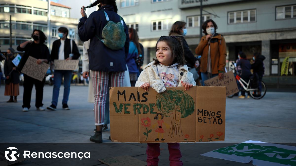 Pacto Climático Europeu quer cadeira sobre crise climática em cursos do ensino superior