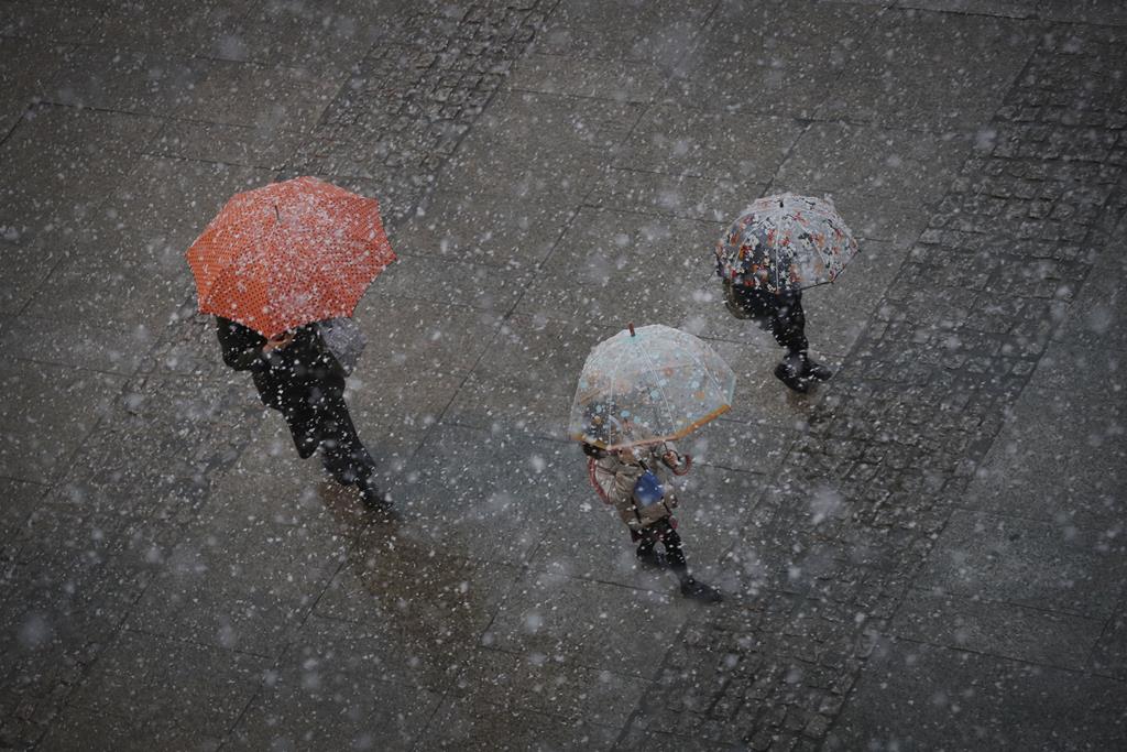 Aberto até de Madrugada: Sapo da meteorologia da Google passa a