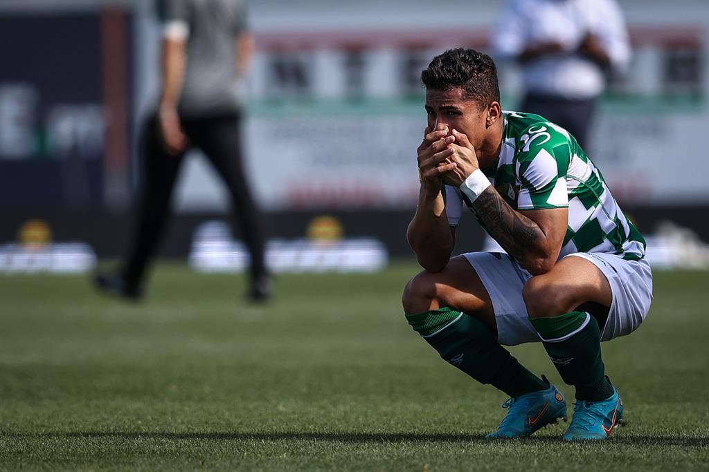 Moreirense sofreu o choque da descida de divisão, após sete épocas consecutivas na I Liga Foto: Rodrigo Antunes/Lusa