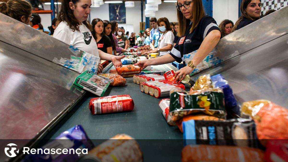 "Surpreendente". Campanha do Banco Alimentar angaria mais de 1.700 toneladas