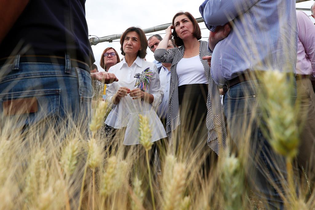 Ana Catarina Mendes acompanhou a ministra da Agricultura na visita. Foto: Nuno Veiga/Lusa