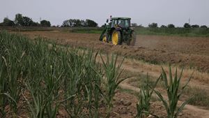 "O Governo está a gozar com os agricultores", acusa CAP