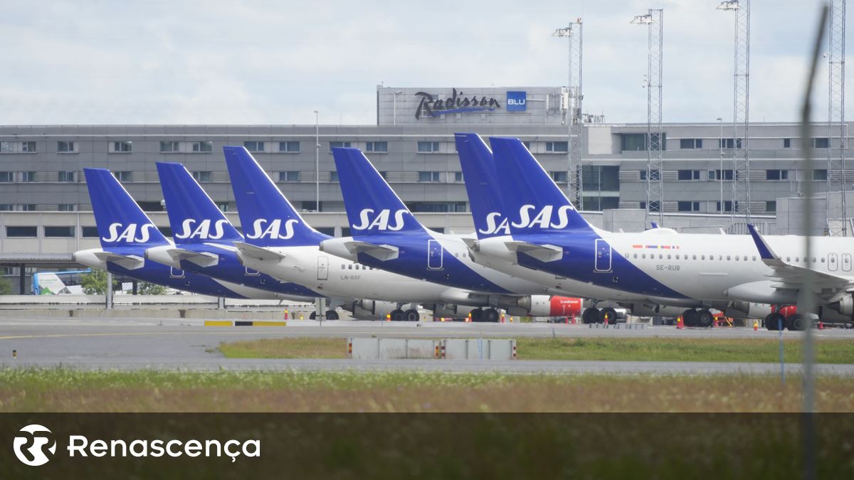 Ratinho na comida obriga avião a aterrar de emergência