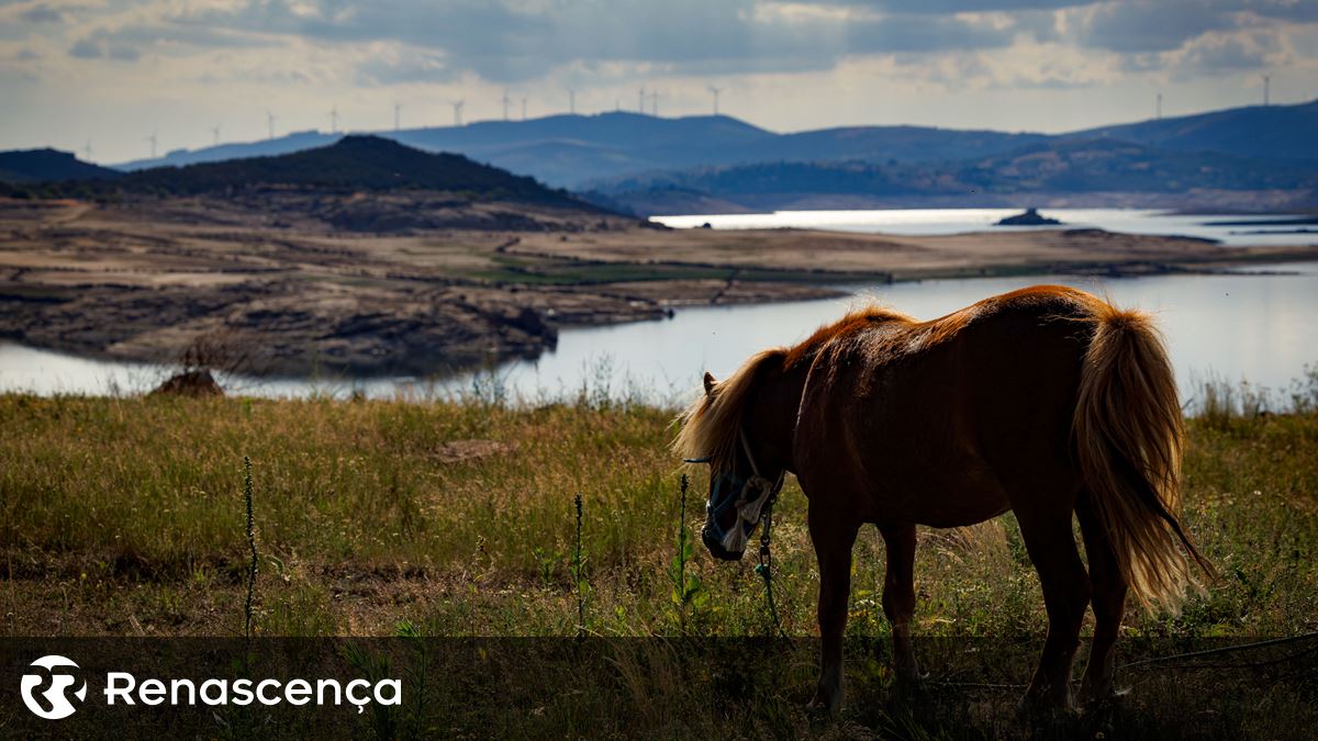 Conferência quer pôr em marcha mecanismos para preservar 30% do planeta