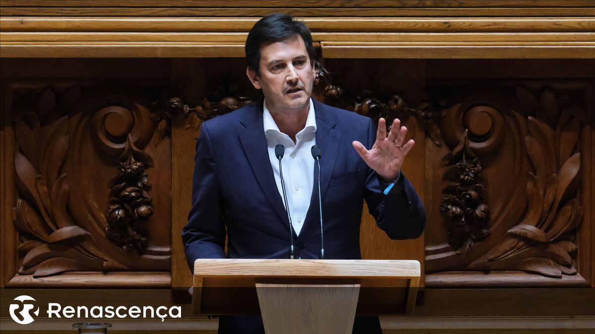 Rui Rocha eleito novo líder da Iniciativa Liberal: é a "renovação em continuidade"