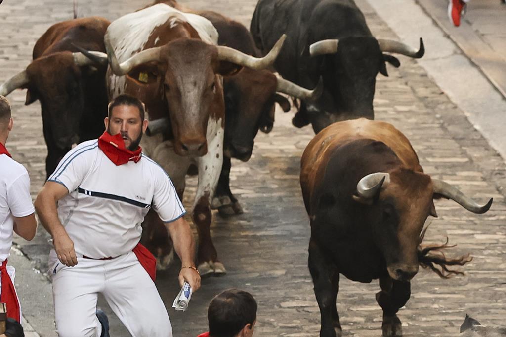 Cinco feridos no regresso da largada de touros em Pamplona