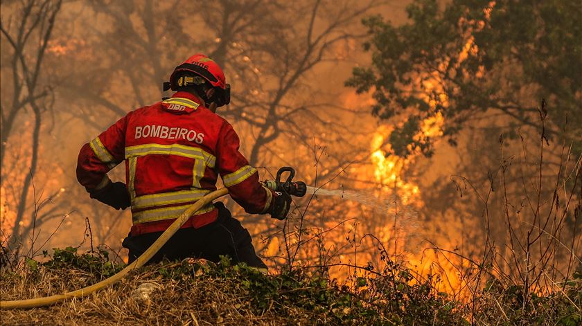 Reaberto IC2 na zona do incêndio que afeta distritos de Leiria, Santarém e Lisboa