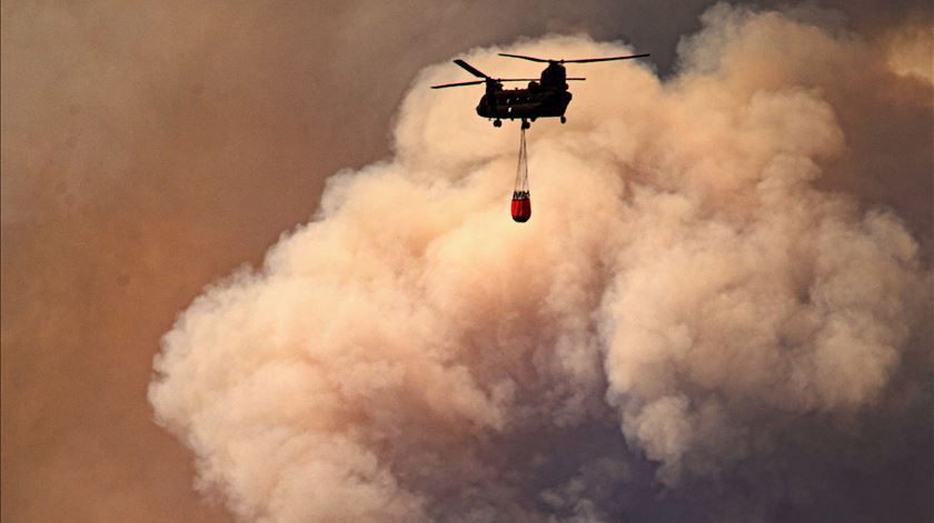 Incêndios em Evros, Grécia. Foto: Dimitris Alexoudis/EPA
